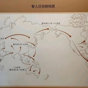 古代人种迁徙方向图